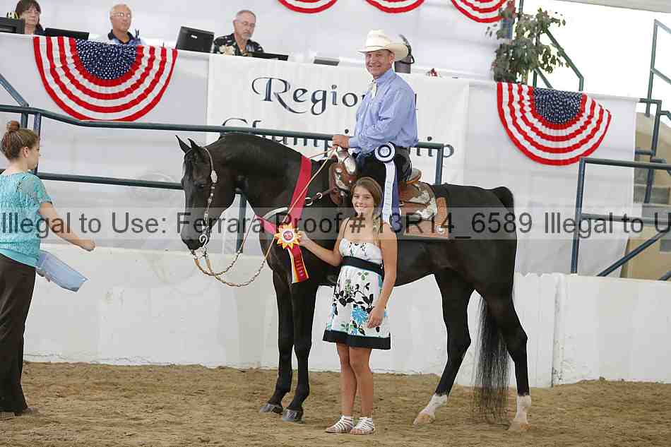 Proof Number 13r14_6589