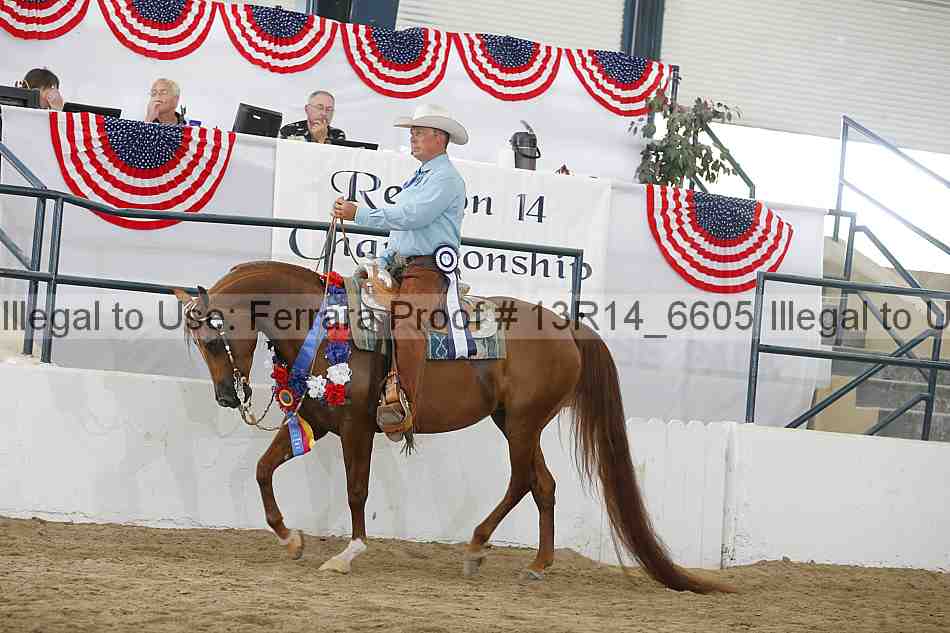 Proof Number 13r14_6605