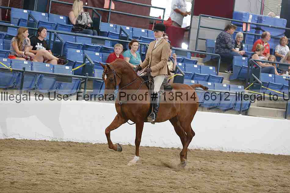 Proof Number 13r14_6612