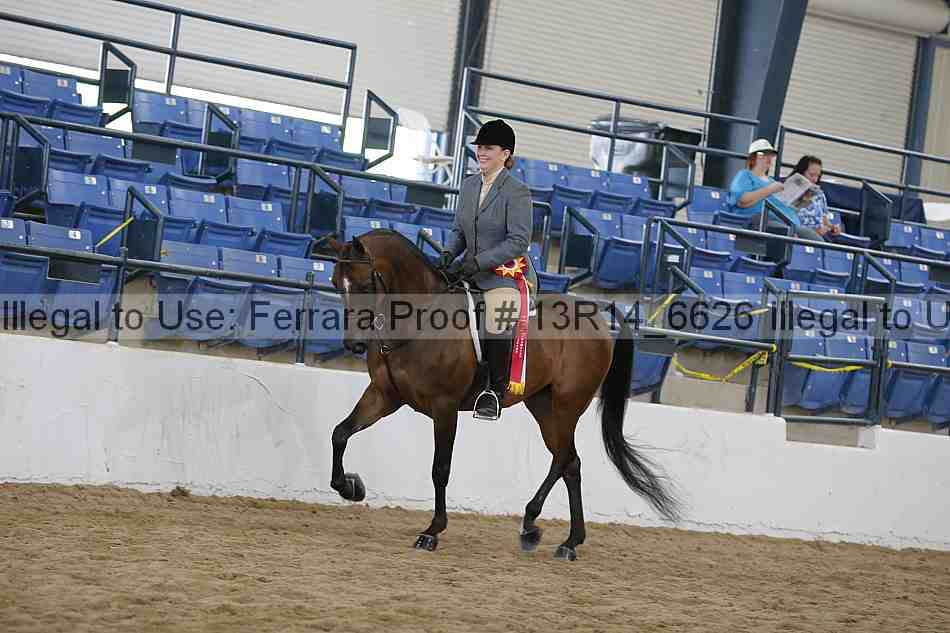 Proof Number 13r14_6626
