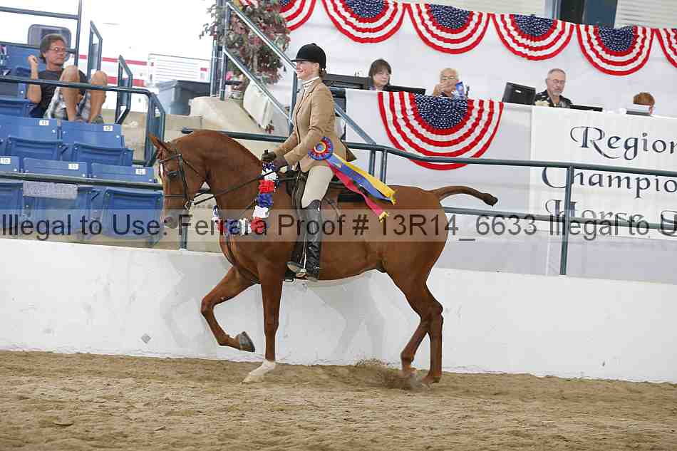 Proof Number 13r14_6633