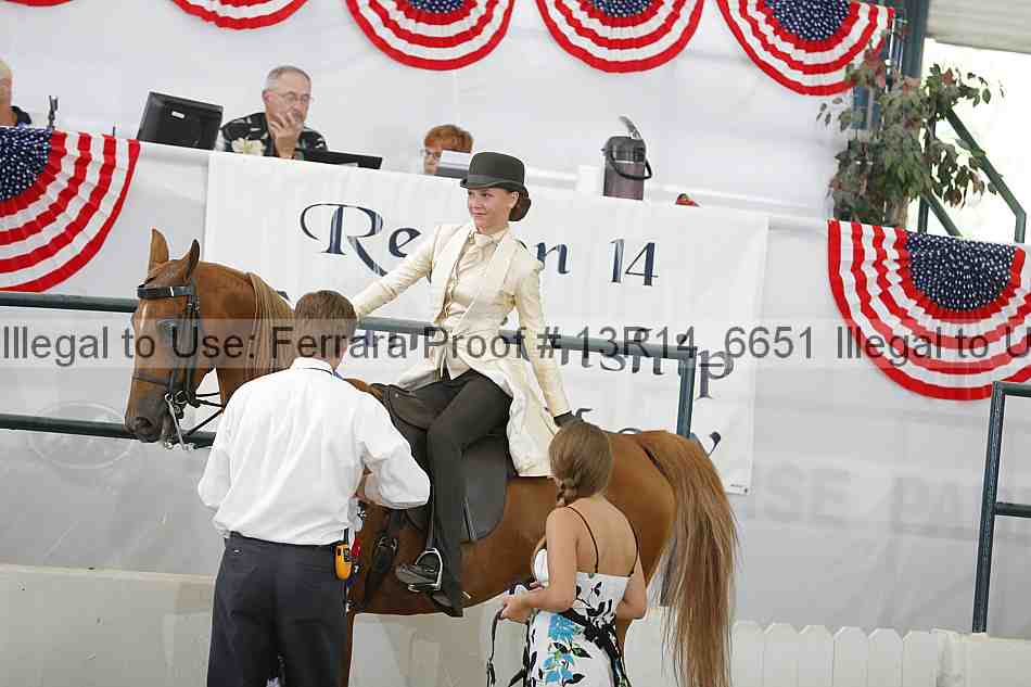 Proof Number 13r14_6651