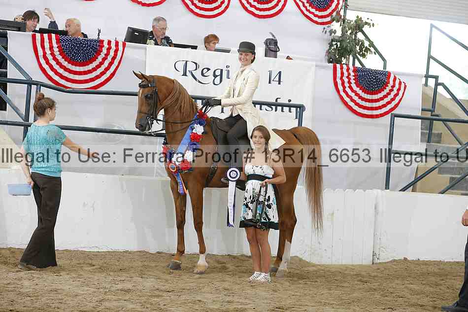 Proof Number 13r14_6653