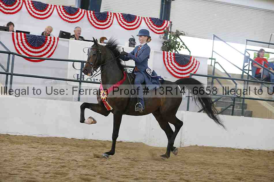 Proof Number 13r14_6658