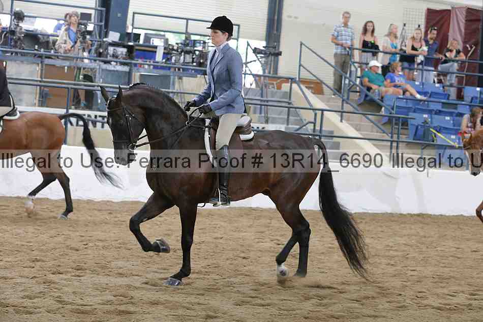 Proof Number 13r14_6690