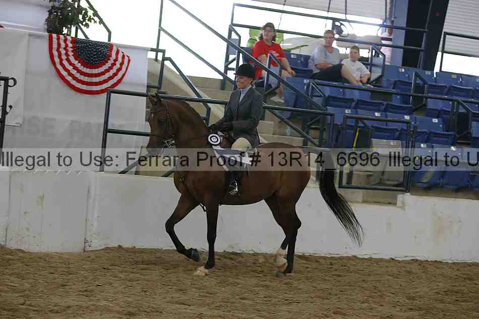 Proof Number 13r14_6696