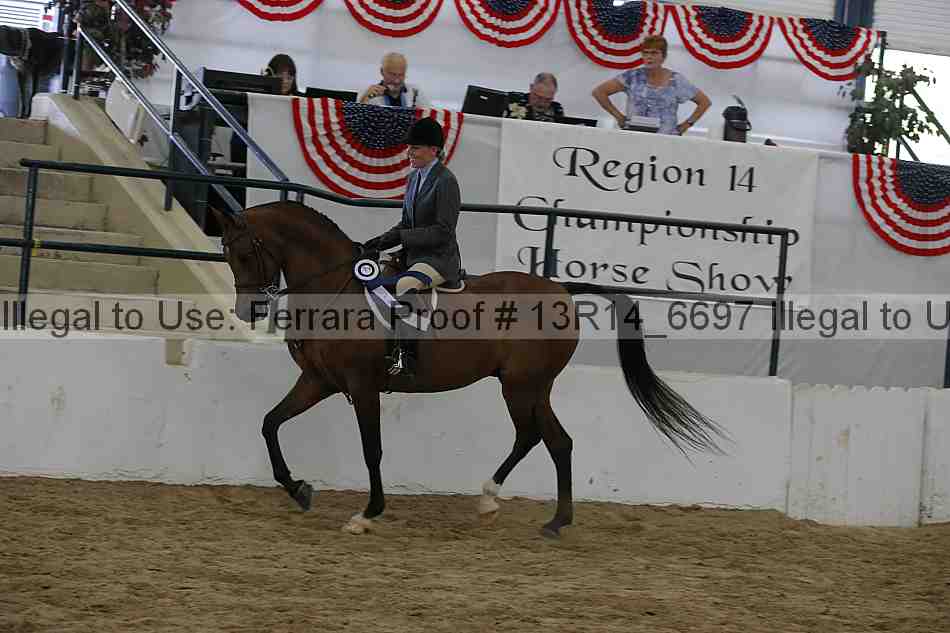 Proof Number 13r14_6697