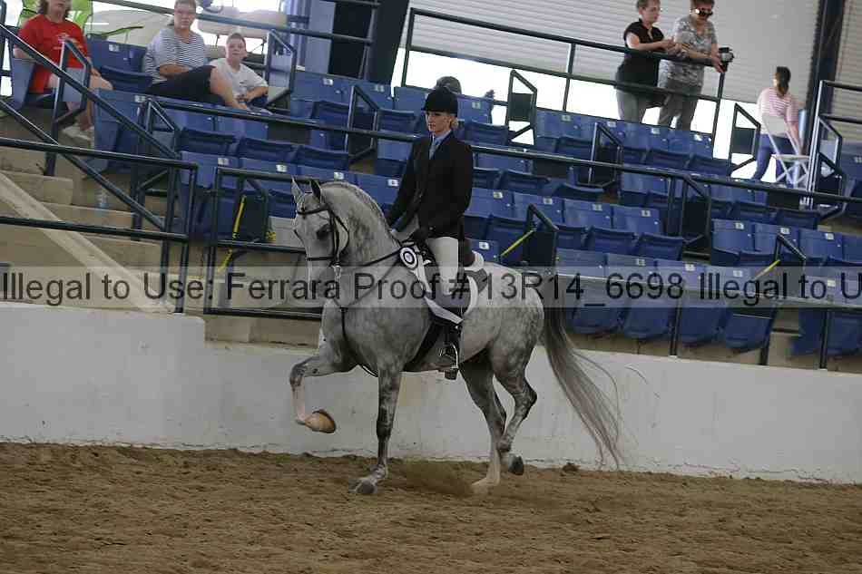 Proof Number 13r14_6698