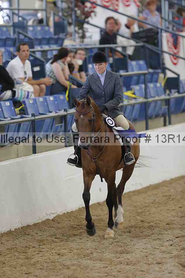 Proof Number 13r14_6699