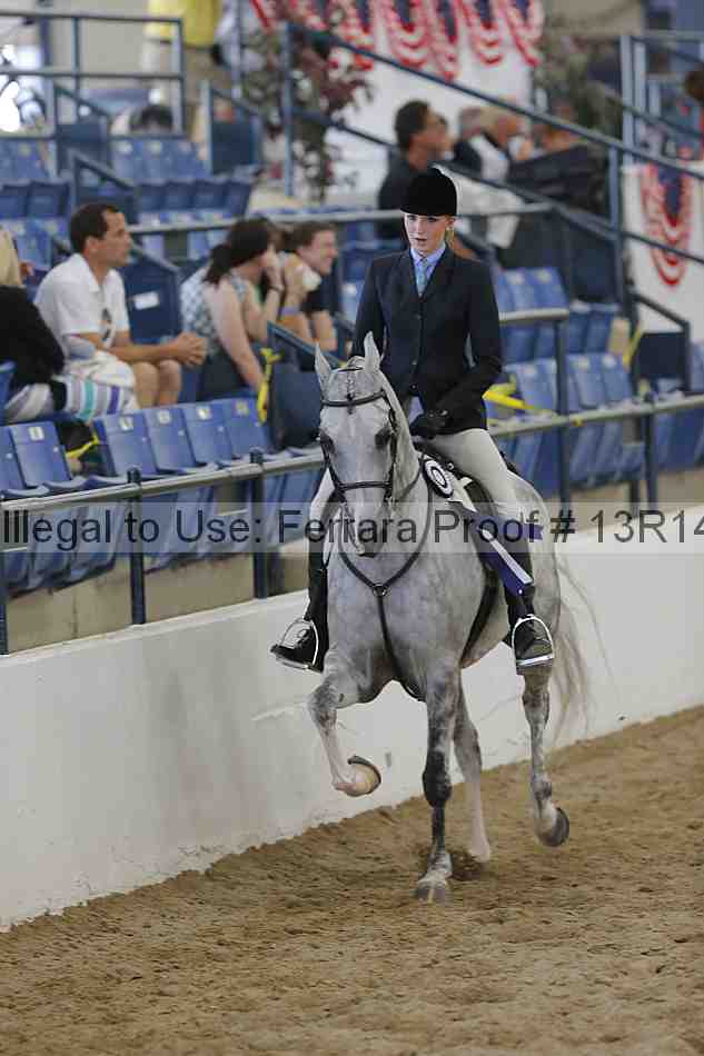 Proof Number 13r14_6701