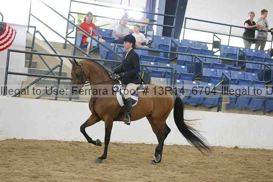 Proof Number 13r14_6704