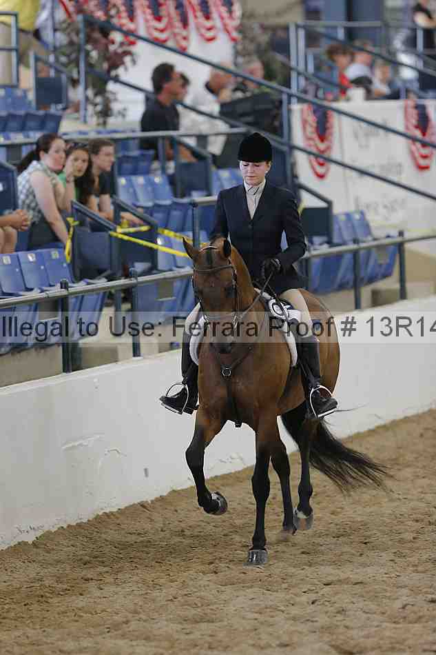 Proof Number 13r14_6709
