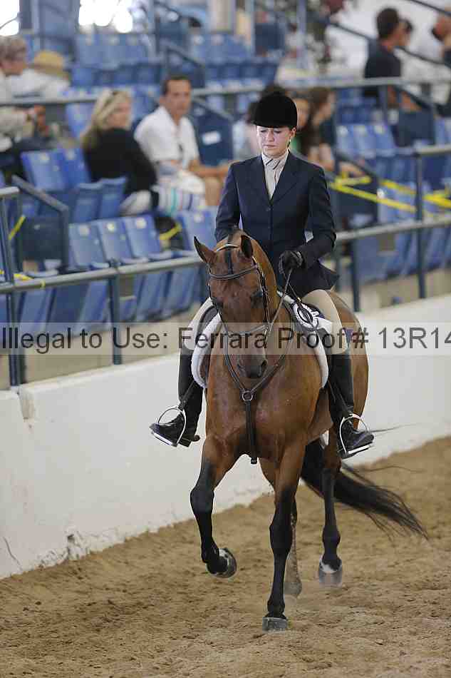Proof Number 13r14_6710