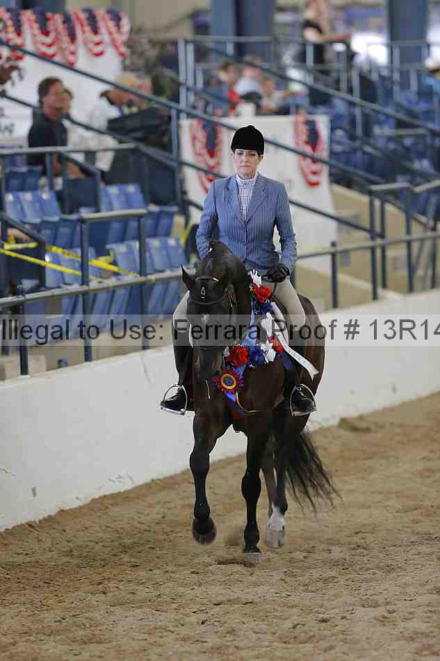 Proof Number 13r14_6711