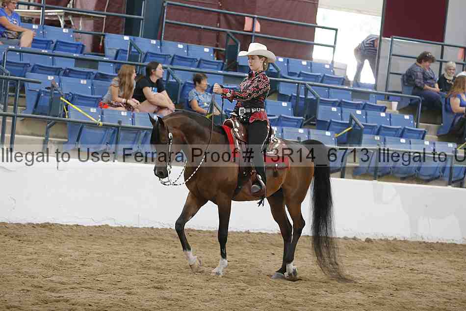 Proof Number 13r14_6713