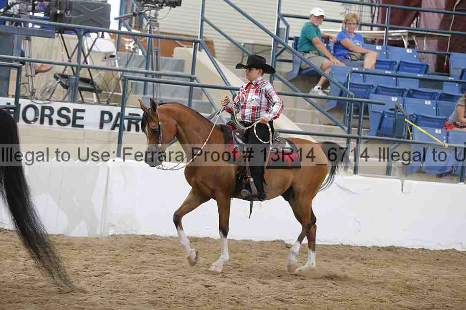 Proof Number 13r14_6714