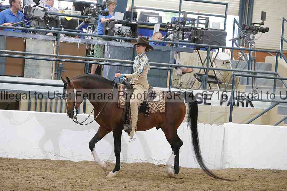 Proof Number 13r14_6716