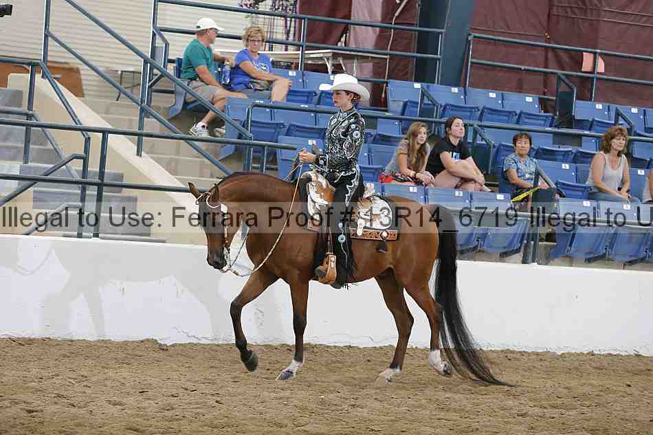 Proof Number 13r14_6719