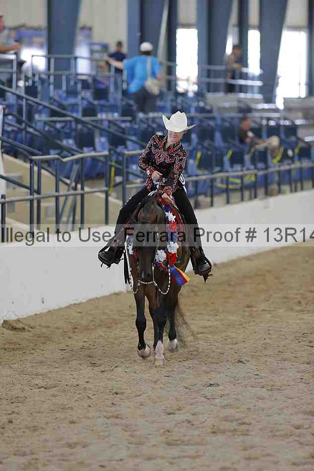 Proof Number 13r14_6727
