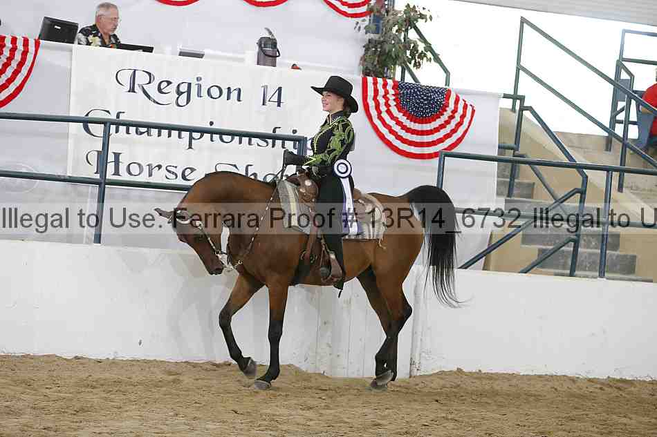 Proof Number 13r14_6732