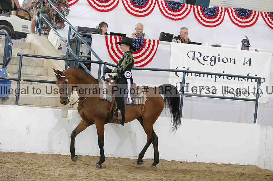 Proof Number 13r14_6733