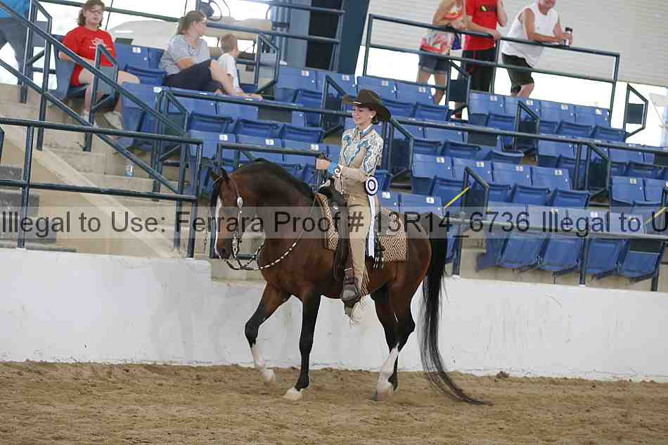 Proof Number 13r14_6736