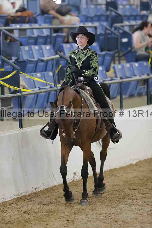 Proof Number 13r14_6739