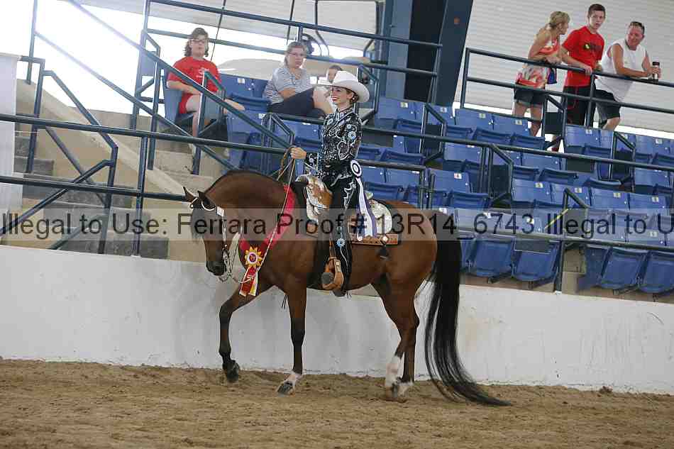 Proof Number 13r14_6743