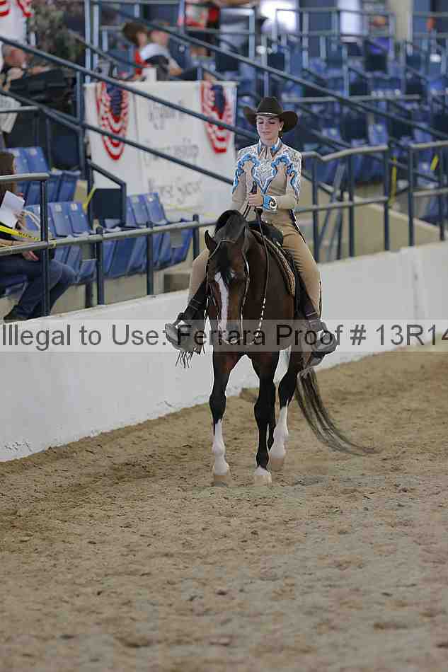 Proof Number 13r14_6745