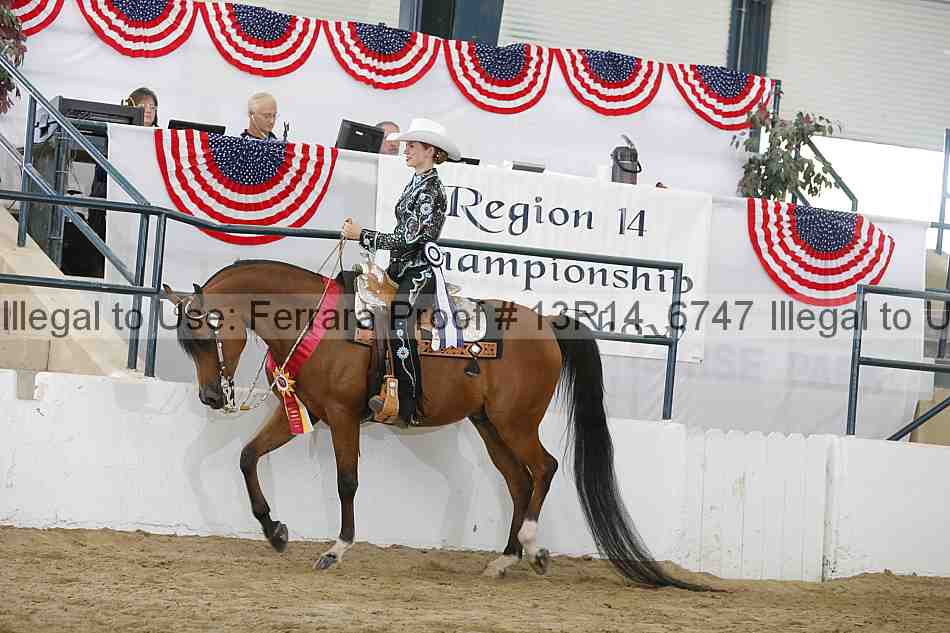 Proof Number 13r14_6747