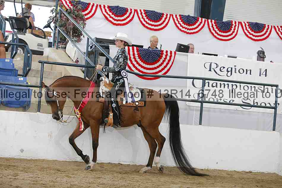 Proof Number 13r14_6748