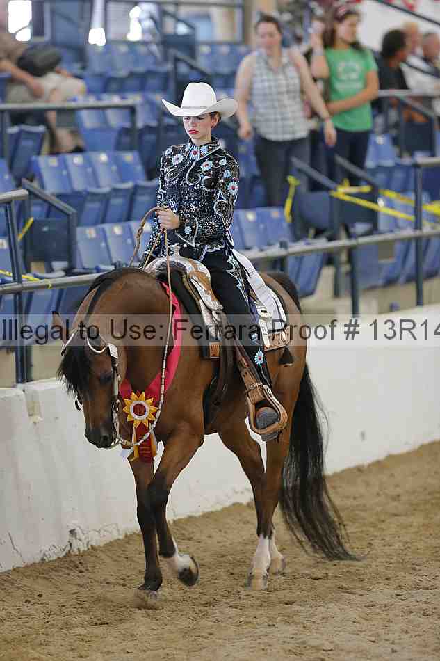 Proof Number 13r14_6754
