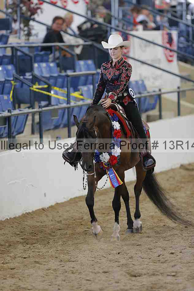 Proof Number 13r14_6756