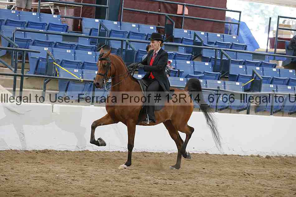 Proof Number 13r14_6766