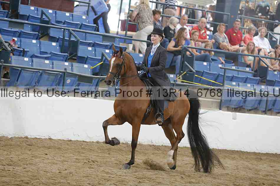 Proof Number 13r14_6768