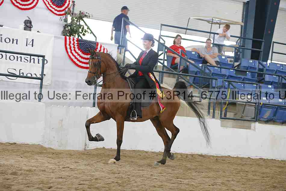 Proof Number 13r14_6775
