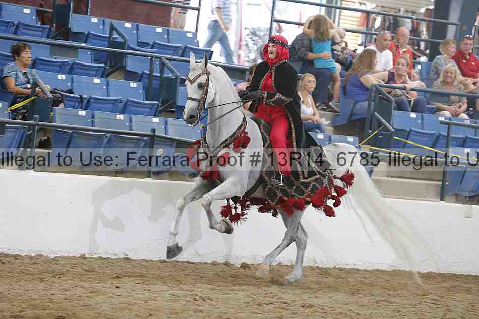 Proof Number 13r14_6785