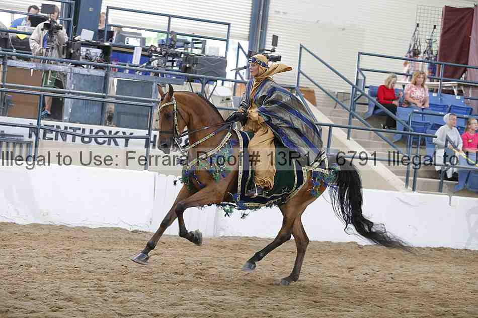 Proof Number 13r14_6791