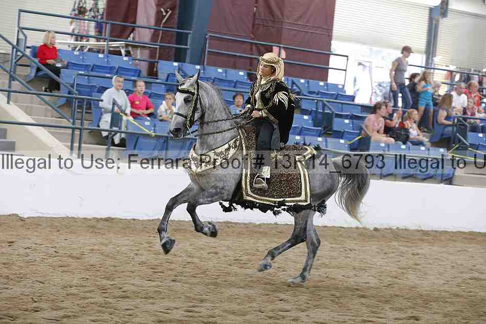 Proof Number 13r14_6793