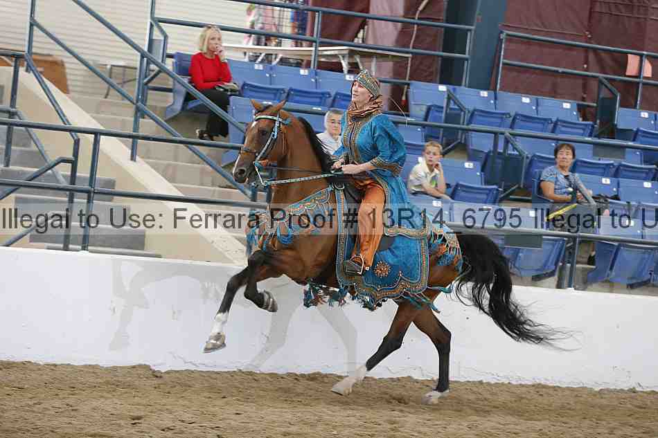 Proof Number 13r14_6795