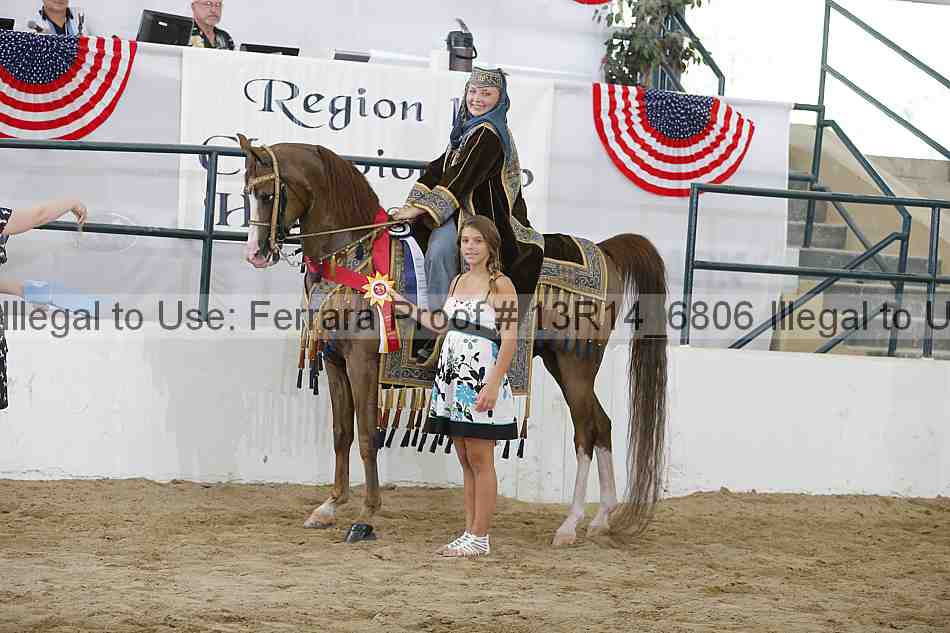 Proof Number 13r14_6806
