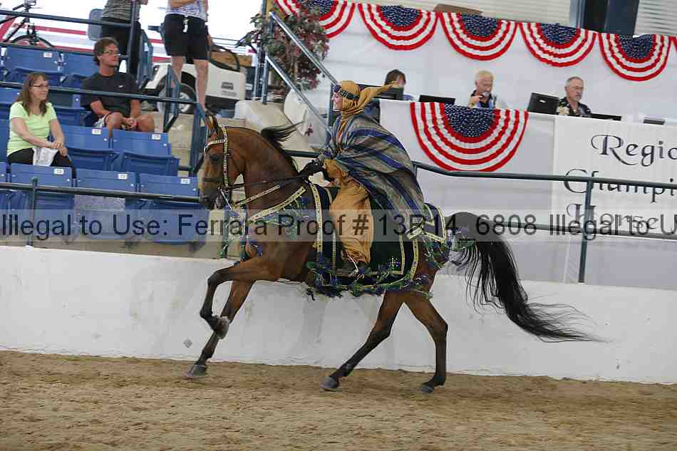 Proof Number 13r14_6808