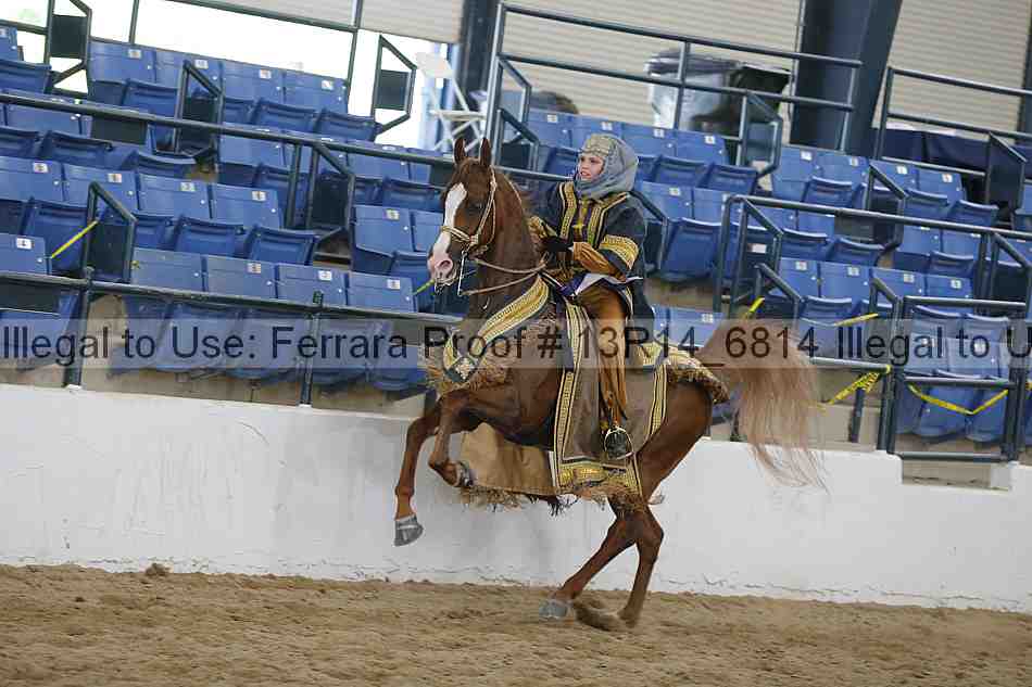 Proof Number 13r14_6814