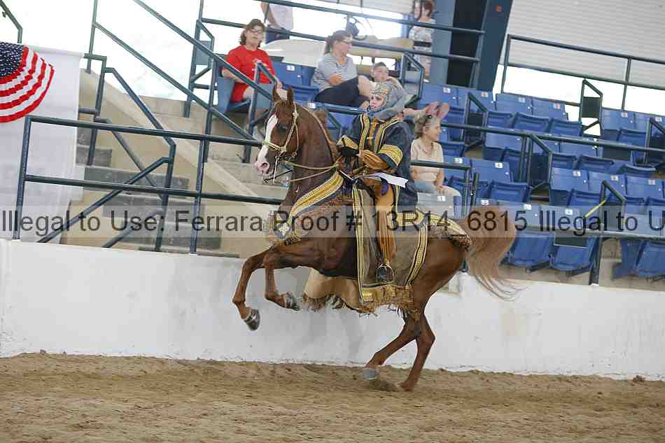 Proof Number 13r14_6815