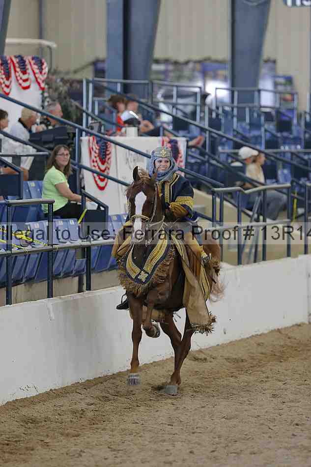 Proof Number 13r14_6816