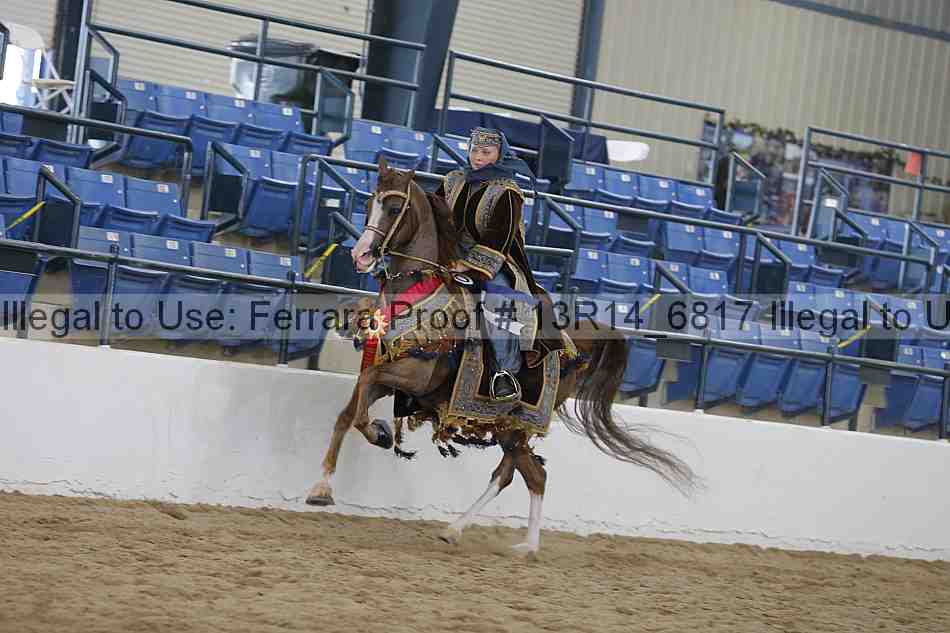 Proof Number 13r14_6817