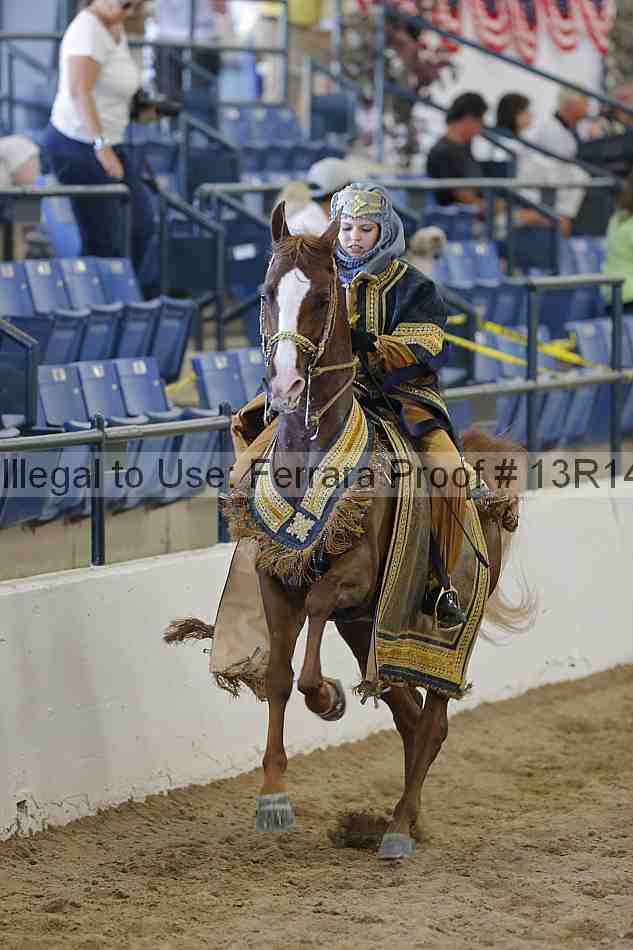 Proof Number 13r14_6818