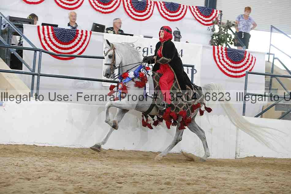 Proof Number 13r14_6823