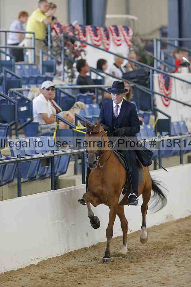 Proof Number 13r14_6828