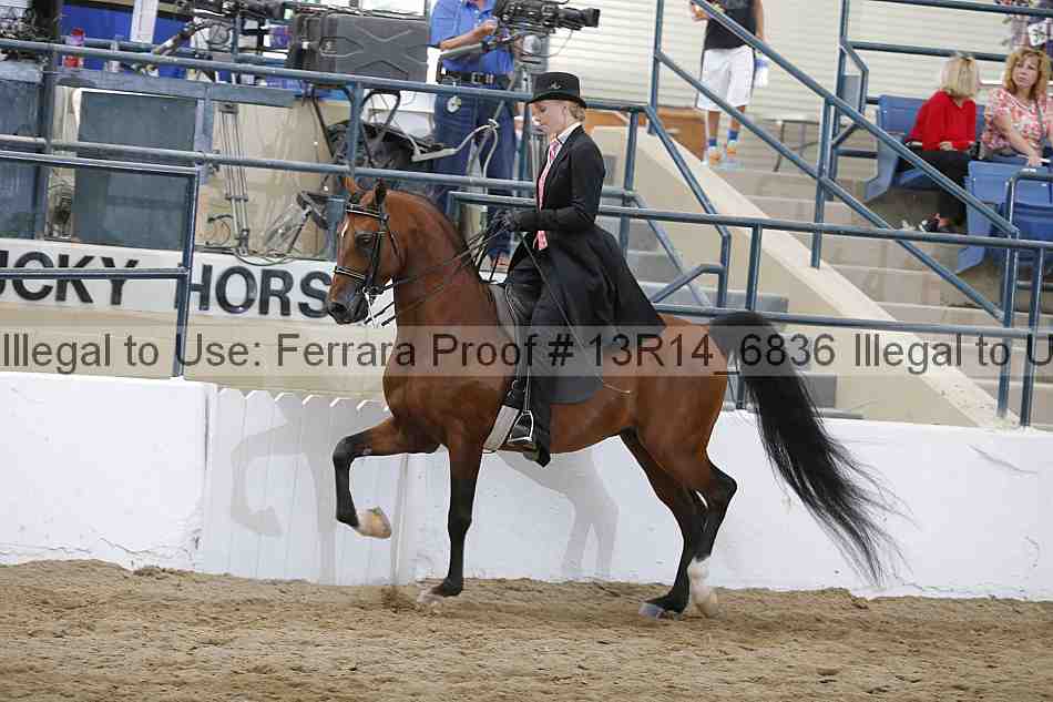 Proof Number 13r14_6836